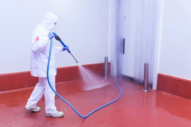 Best Playground Equipment Cleaning  in Sparkill, NY